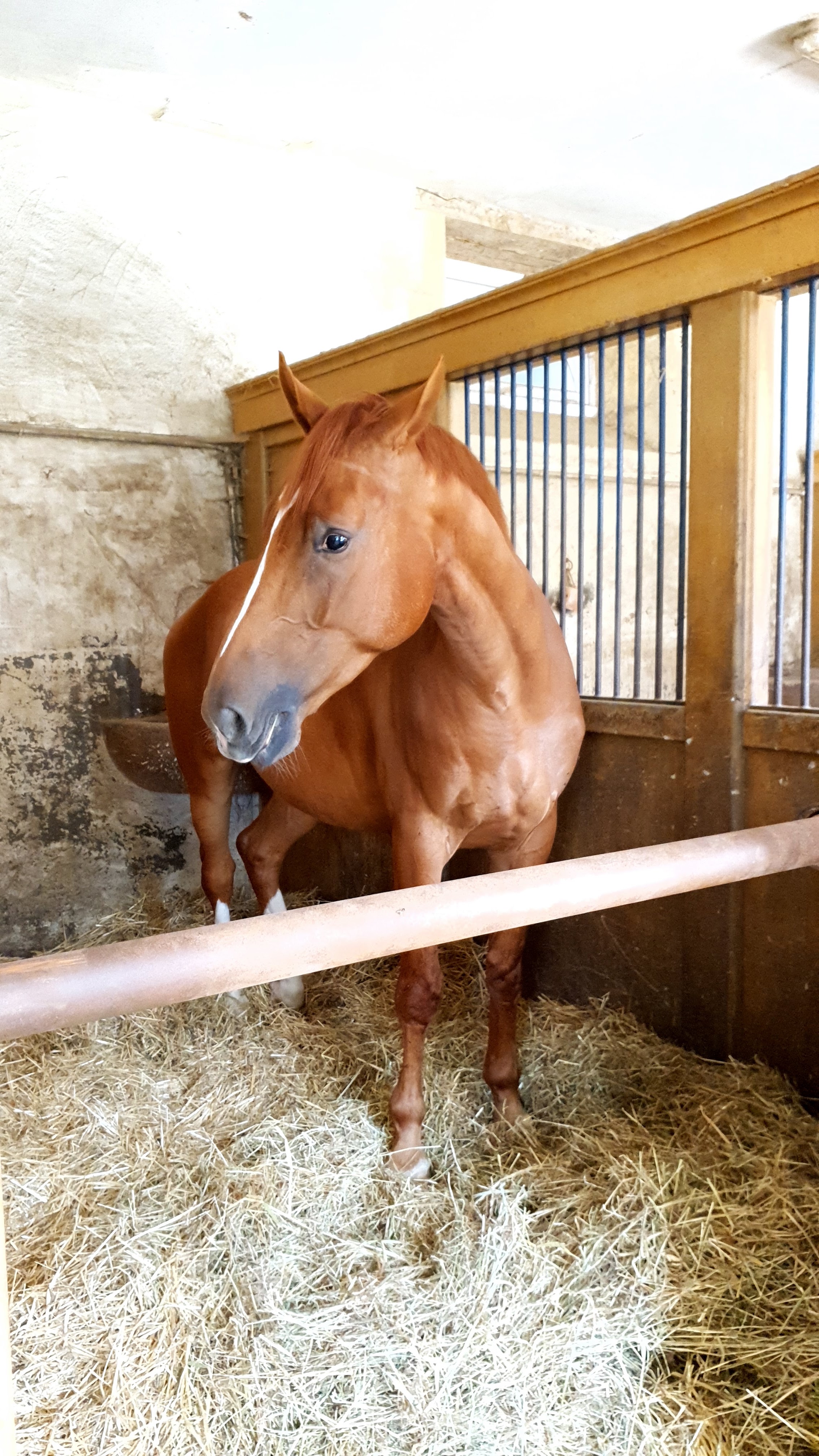 Photo n° 3 de l'avis de Sébastien.r fait le 19/08/2020 à 15:39
