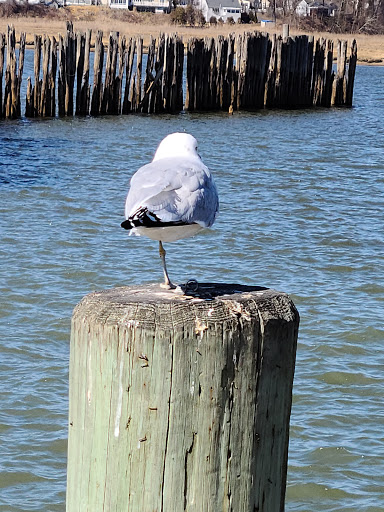 Park «Keyport Waterfront Park», reviews and photos, American Legion Dr, Keyport, NJ 07735, USA