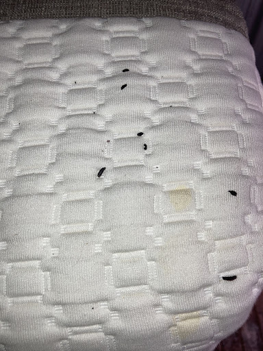 Self-Storage Facility «CubeSmart Self Storage», reviews and photos, 15 Hale St, Haverhill, MA 01830, USA