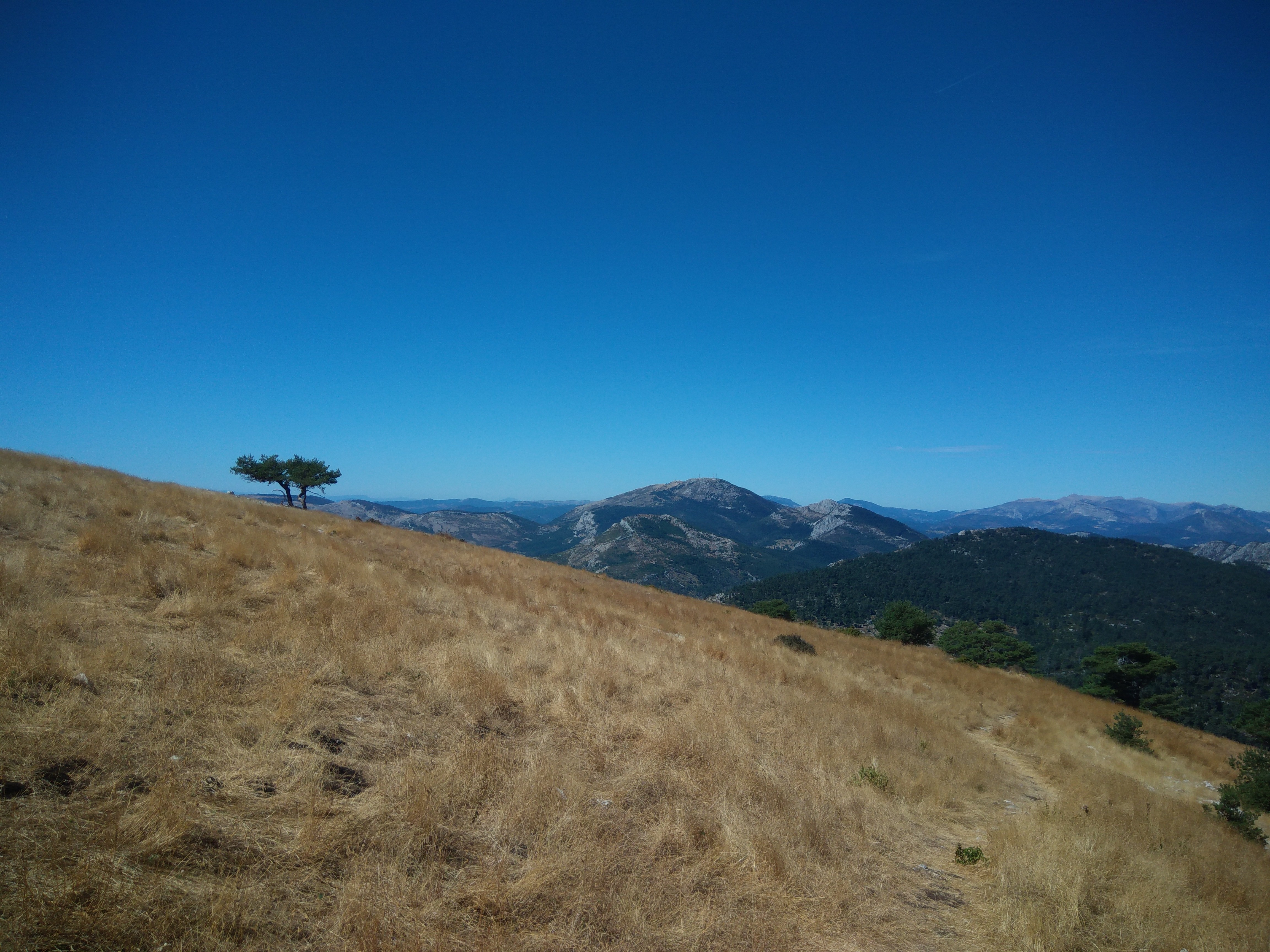 Photo n° 1 de l'avis de Irina06. fait le 27/08/2020 à 18:21