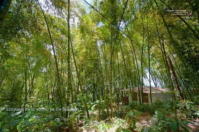 Photos of Bosques del Sam&aacute;n