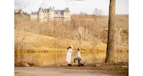 Perfect Proposal - Asheville - Car repair in , Asheville - Rated 5.0/5