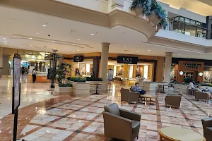 The Mall at Wellington Green image