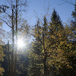 Photo n°4 de l'avis de Hautes-Alpes.o fait le 13/10/2021 à 13:20 sur le  Seehaus - Mountain Lake Resort à Rasen-Antholz