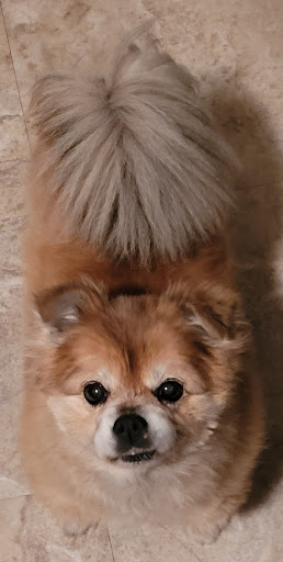 Pet Supply Store «Petco Animal Supplies», reviews and photos, 1220 Commons Cir, Plover, WI 54467, USA