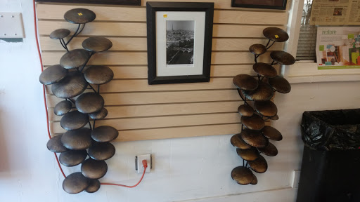 Non-Profit Organization «Habitat for Humanity of Hall County ReStore», reviews and photos, 2380 Murphy Blvd, Gainesville, GA 30504, USA