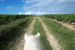 A Cheval Dans L'Yonne image