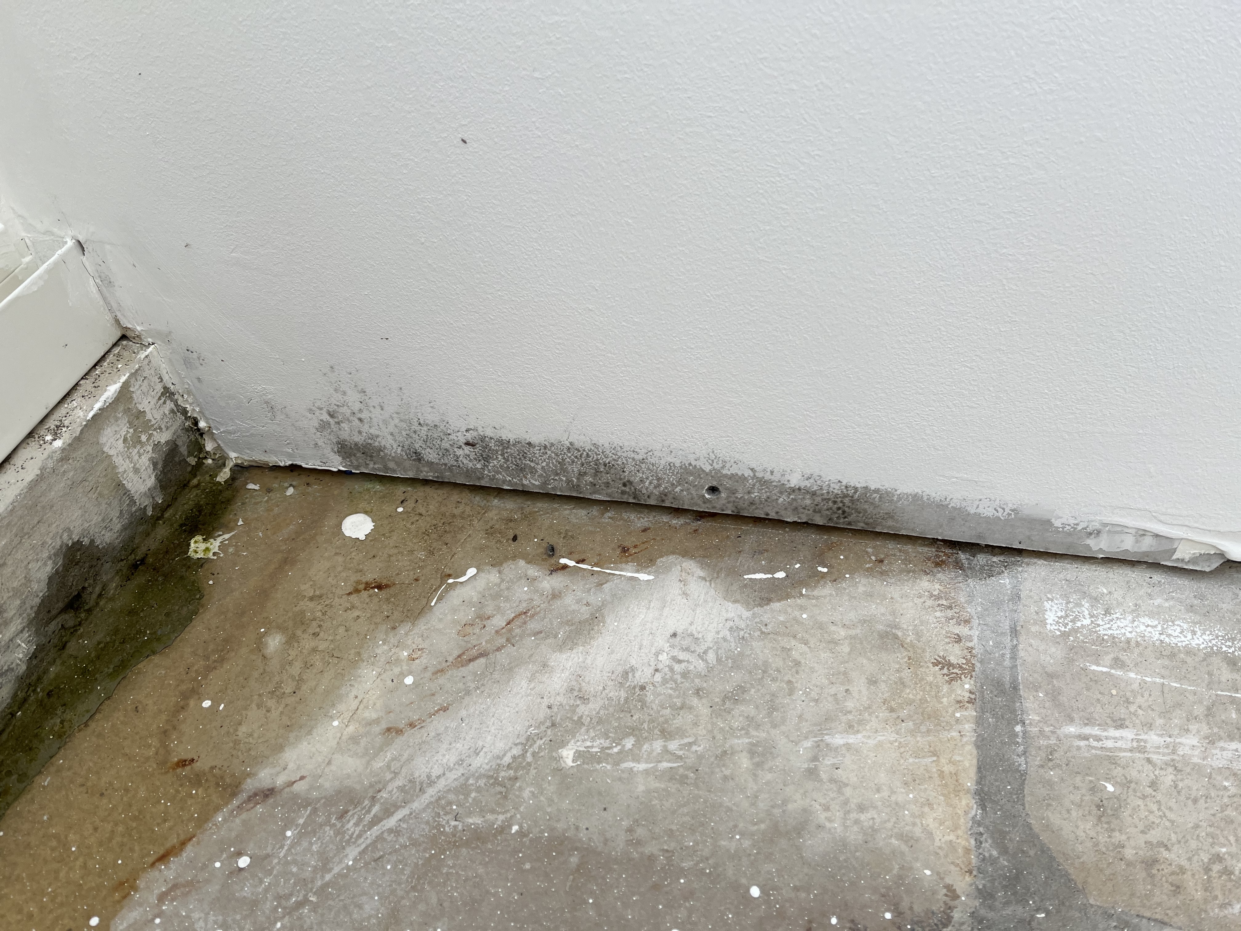 Photo n° 2 de l'avis de Marine.o fait le 02/04/2024 à 19:06