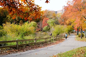 Alley Pond Park image