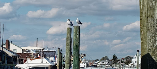 Supermarket «King Kullen», reviews and photos, 1340 Wantagh Ave, Wantagh, NY 11793, USA