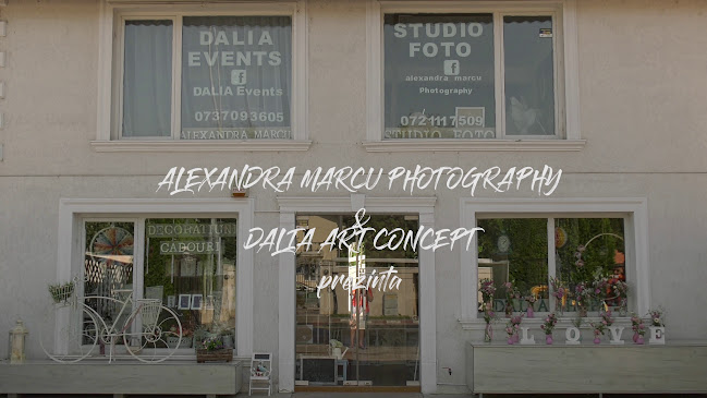 Opinii despre Alexandra Marcu studio foto în <nil> - Fotograf