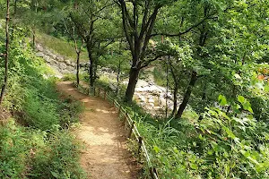 Jangnyeongsan Nature Recreation Forest image