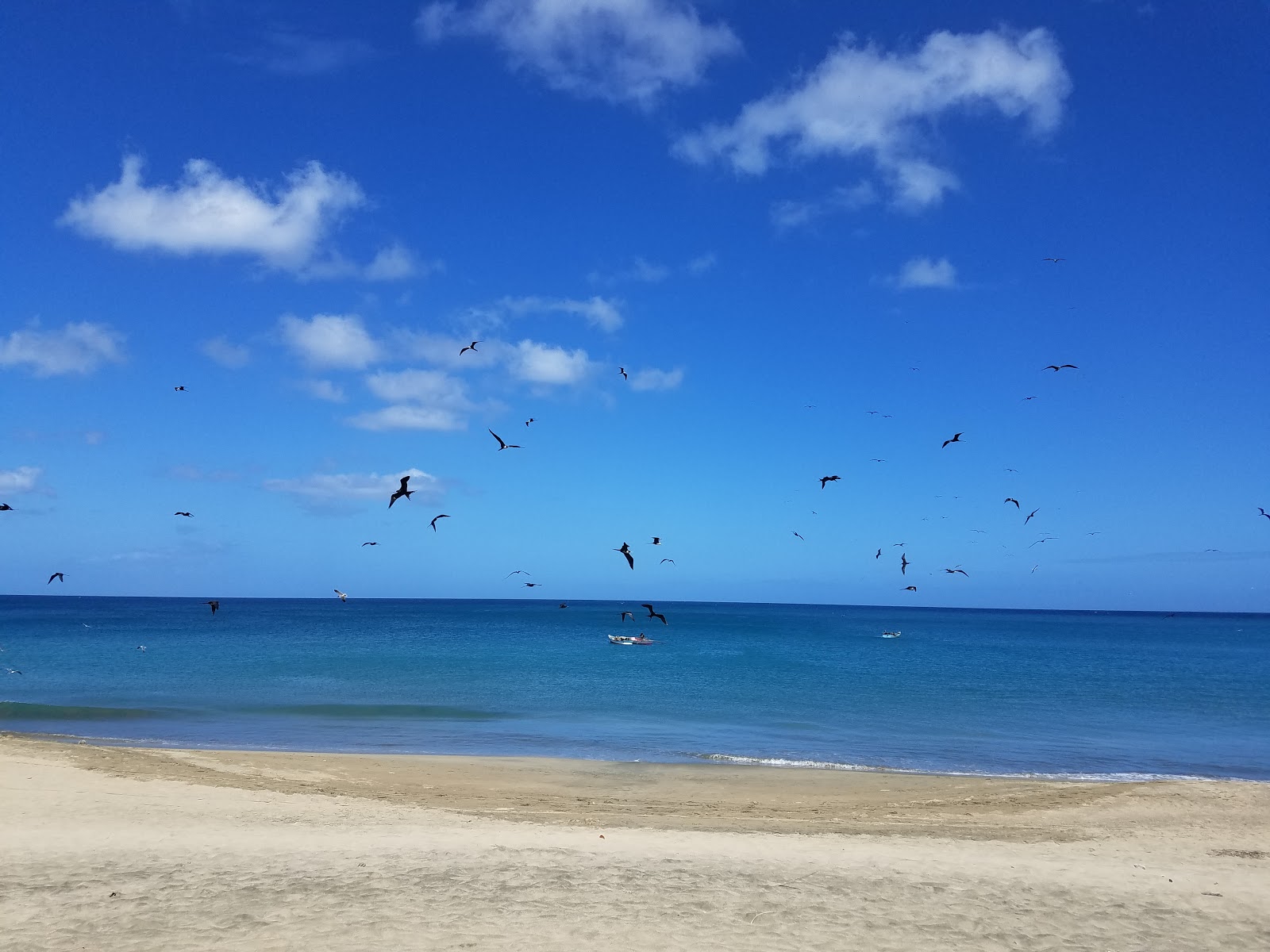 Foto de Great Courland Bay beach e o assentamento