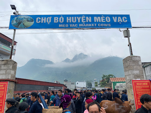 Top 20 cửa hàng baby food Huyện Mèo Vạc Hà Giang 2022
