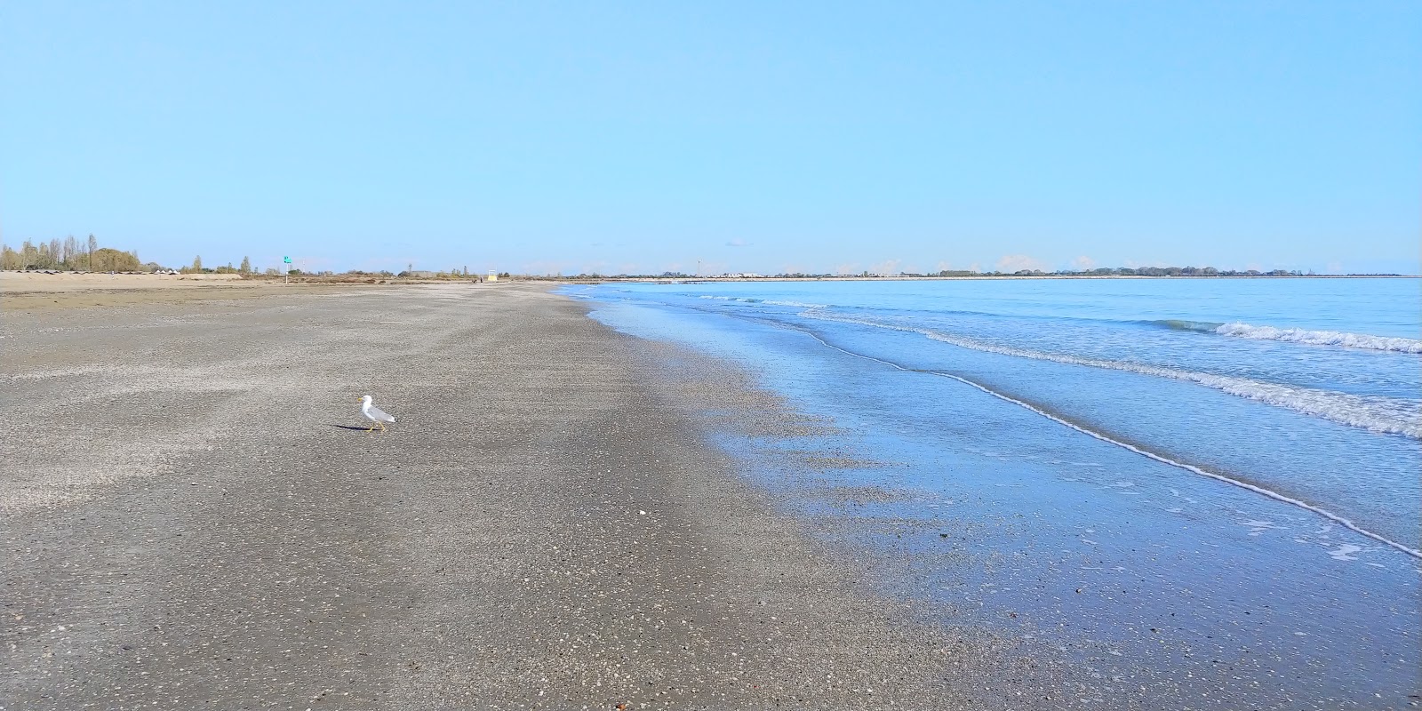Spiaggia di San Nicoletto的照片 部分重新排序区域