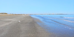 Spiaggia di San Nicoletto的照片 部分重新排序区域