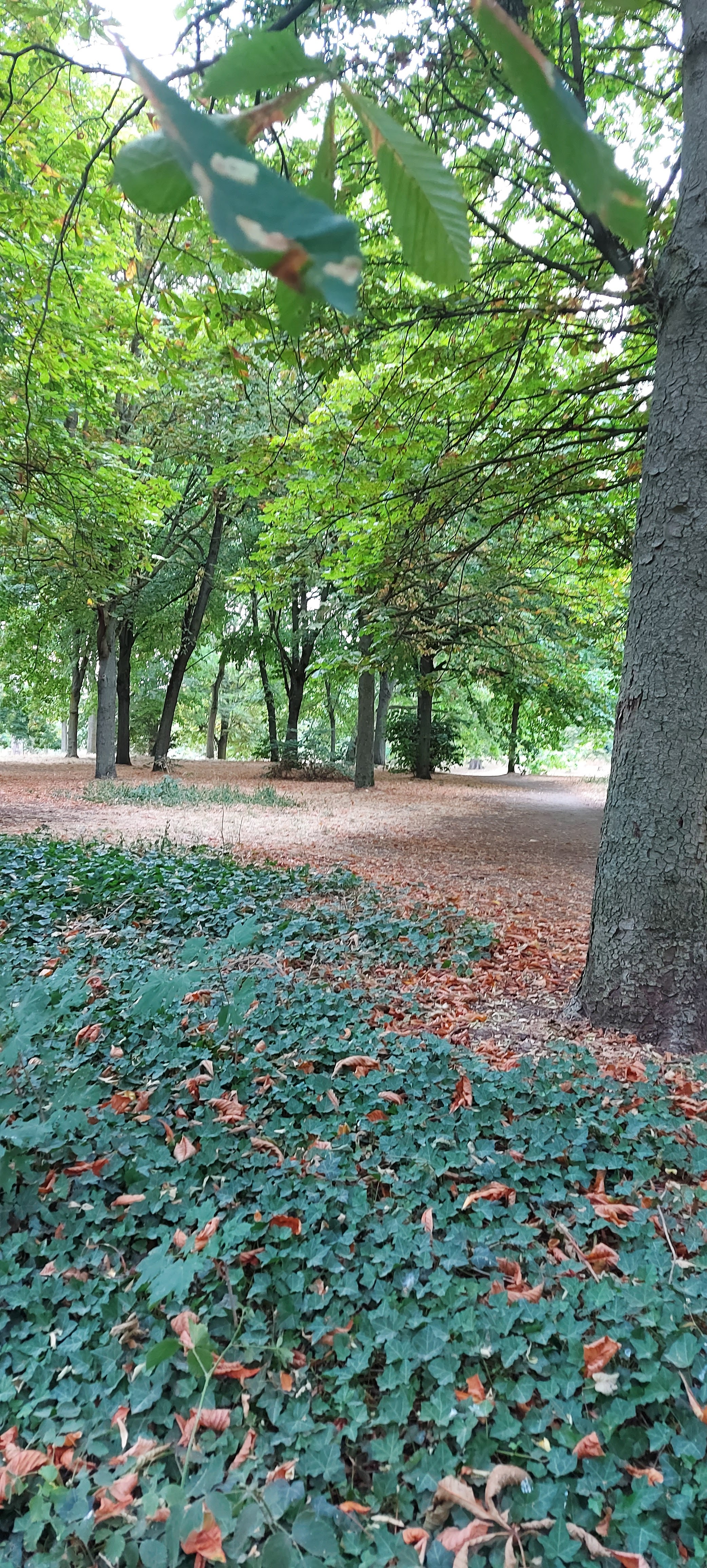 Photo n° 4 de l'avis de unmecdesannees80. fait le 20/07/2020 à 05:32
