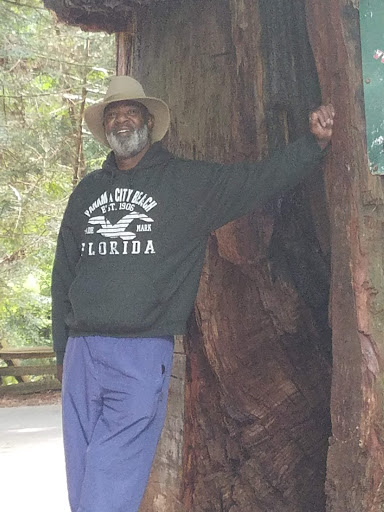 Tourist Attraction «Klamath Tour Thru Tree», reviews and photos, 430 California 169, Klamath, CA 95548, USA