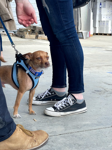 Winery «Glorie Farm Winery», reviews and photos, 40 Mountain Rd, Marlboro, NY 12542, USA