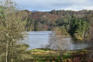National Trust - Tarn Hows image