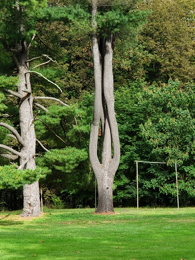 Historical Landmark «Montgomery Place Historic Estate», reviews and photos, 26 Gardener Way, Red Hook, NY 12571, USA