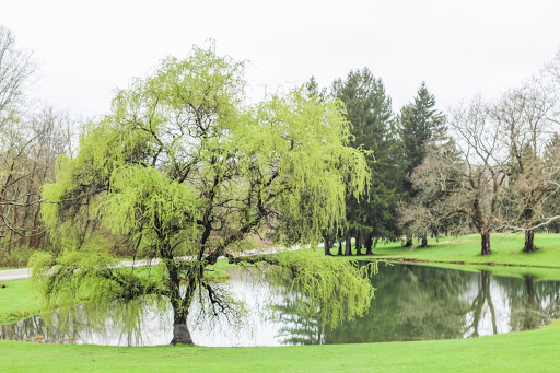 National Park «Cuyahoga Valley National Park», reviews and photos