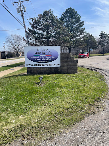 Auto Repair Shop «Di Lizio Auto Repair, Inc. - Bosch Car Service», reviews and photos, 26050 Cannon Rd, Bedford Heights, OH 44146, USA