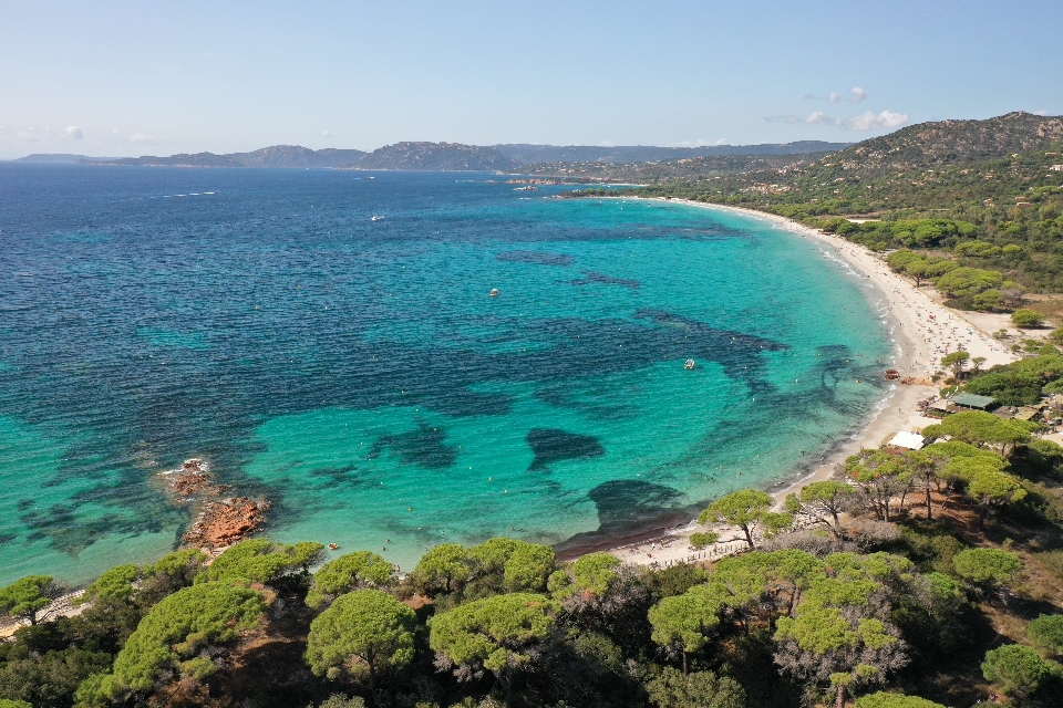 Plage de Palombaggia photo #29