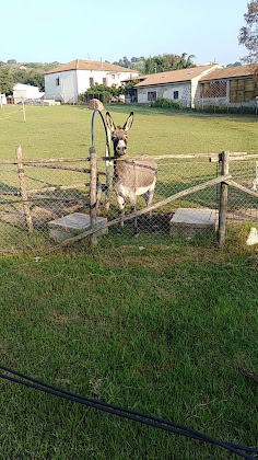 Vidéos Hébergement d'intérieur Country House Biroccio 84044 Matinella