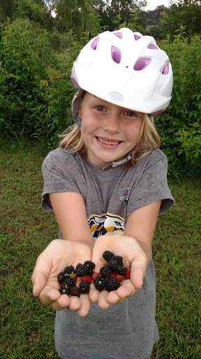 Park «Owl Creek Park», reviews and photos, 9751 Concord Rd, Brentwood, TN 37027, USA