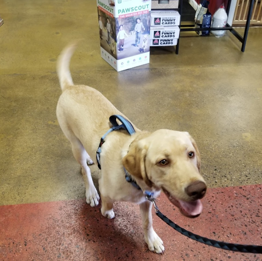 Pet Supply Store «One of the Family Pet Supply LLC», reviews and photos, 288 Lincoln Blvd, Middlesex, NJ 08846, USA