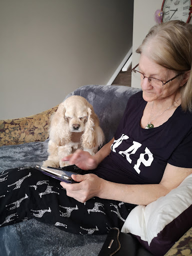 Rocky Ridge Pet Hospital image
