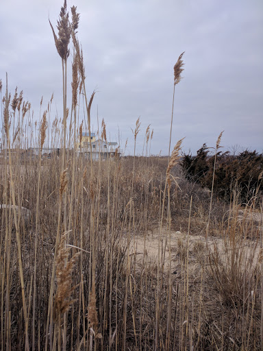 Theme Park «Atlantic Beach Park», reviews and photos, 321 Atlantic Ave, Westerly, RI 02891, USA