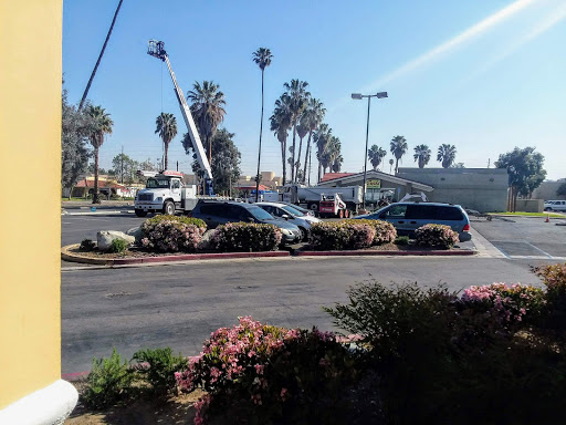 Discount Store «99 Cents Only Stores», reviews and photos, 11160 Magnolia Ave, Riverside, CA 92505, USA