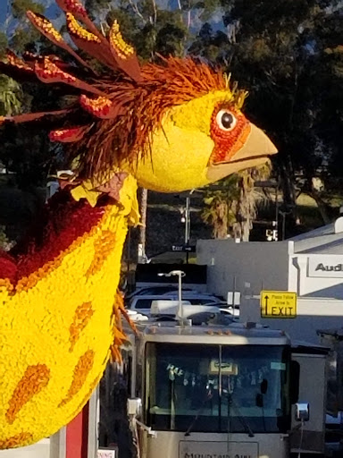 Car Dealer «Rusnak Auto Group», reviews and photos, 337 W Colorado Blvd, Pasadena, CA 91105, USA