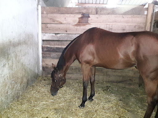 Racecourse «Belterra Park Gaming», reviews and photos, 6301 Kellogg Rd, Cincinnati, OH 45230, USA