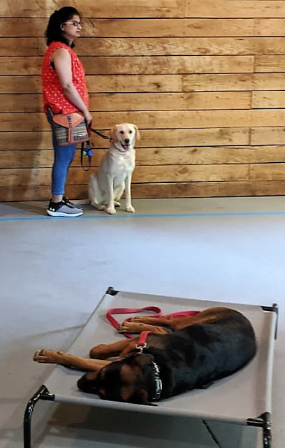 For Pup Sake Dog Training