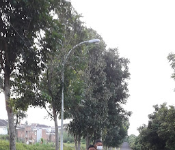 Singhasari Residence photo