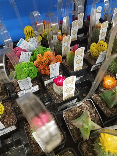 Discount Store «Walmart», reviews and photos, 209 E Ridgeville Blvd, Mt Airy, MD 21771, USA