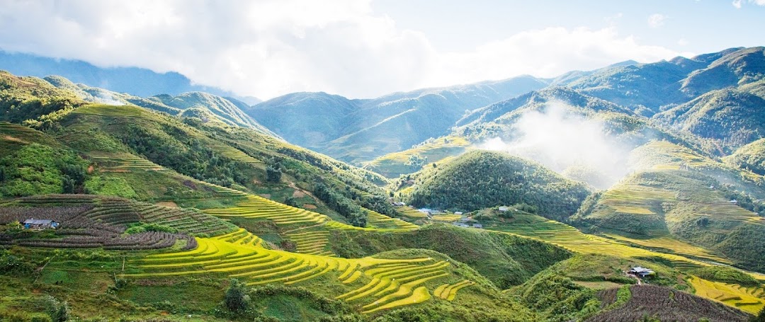 Dự án Hợp tác Nghiên cứu Di sản Đá khắc Việt Nam