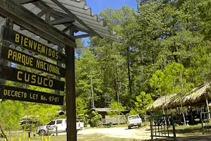 Parque Nacional Cusuco image