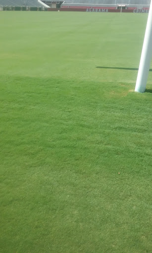 Stadium «Bryant-Denny Stadium», reviews and photos, 920 Paul W Bryant Dr, Tuscaloosa, AL 35401, USA