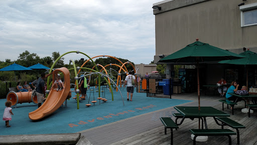 Aquarium «North Carolina Aquarium At Fort Fisher», reviews and photos, 900 Loggerhead Rd, Kure Beach, NC 28449, USA