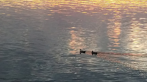 Park «Coon Rapids Dam Regional Park», reviews and photos, 9750 Egret Blvd NW, Coon Rapids, MN 55433, USA