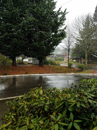 Self-Storage Facility «Money Saver Mini Storage», reviews and photos, 3915 Martin Way E, Olympia, WA 98506, USA