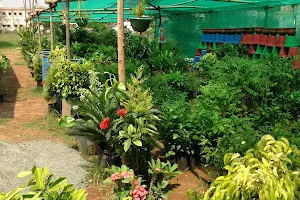 Sri Angalaparameshwari Nurserry Garden image