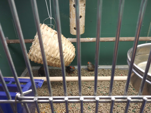 Pet Supply Store «Pet Club Santa Rosa», reviews and photos, 1935 Santa Rosa Ave, Santa Rosa, CA 95407, USA