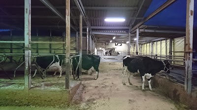株式会社ハイランドデーリー