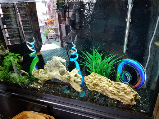 Florist Tg Designs Reviews And Photos 19231 Longmeadow Rd