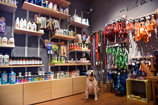 Heads Up For Tails Pet Supply Store And Spa | Chattarpur